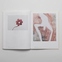 【サイン有り】 Rikako Kawauchi drawings 2012-2020